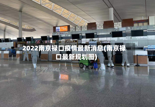 2022南京禄口疫情最新消息(南京禄口最新规划图)-第2张图片