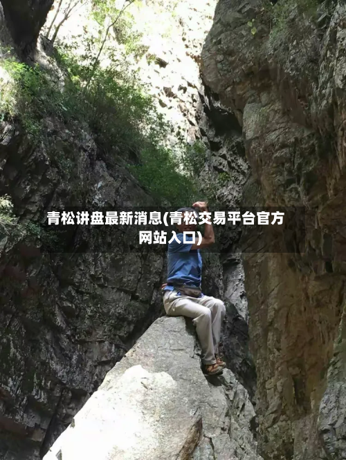 青松讲盘最新消息(青松交易平台官方网站入口)-第2张图片