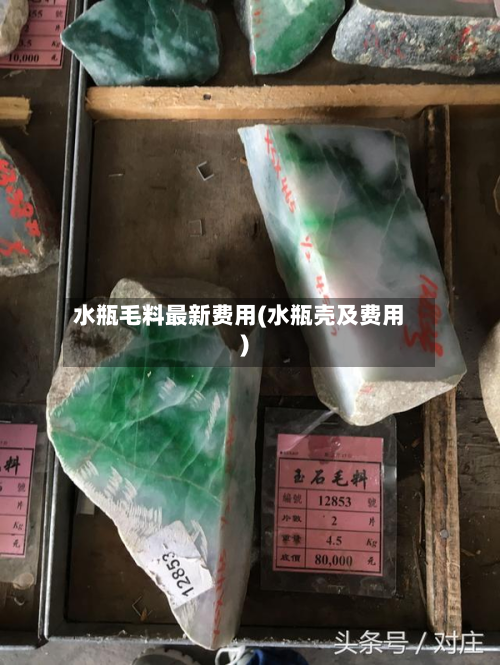 水瓶毛料最新费用(水瓶壳及费用)-第2张图片