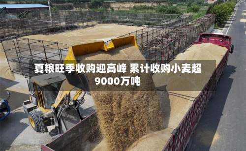 夏粮旺季收购迎高峰 累计收购小麦超9000万吨-第2张图片
