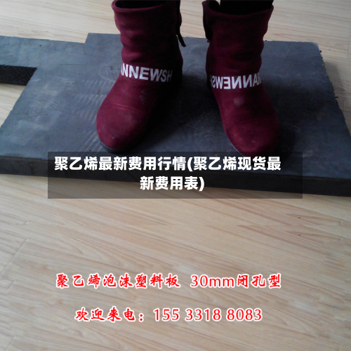 聚乙烯最新费用行情(聚乙烯现货最新费用表)