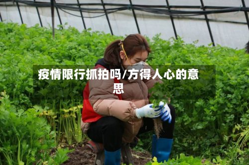 疫情限行抓拍吗/方得人心的意思