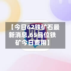 【今日62铁矿石最新消息,65品位铁矿今日费用】