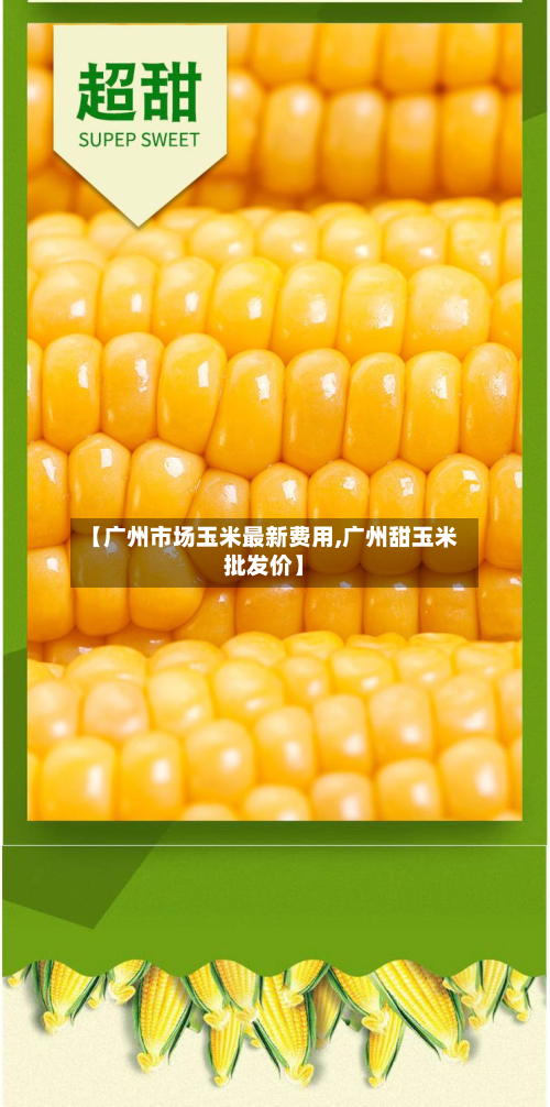 【广州市场玉米最新费用,广州甜玉米批发价】