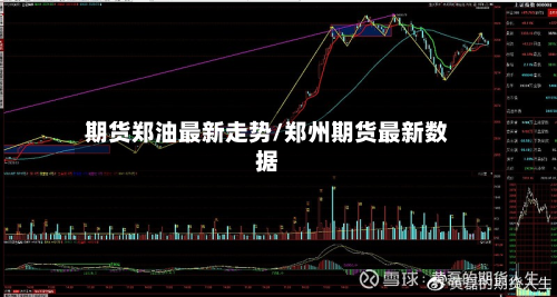 期货郑油最新走势/郑州期货最新数据-第3张图片