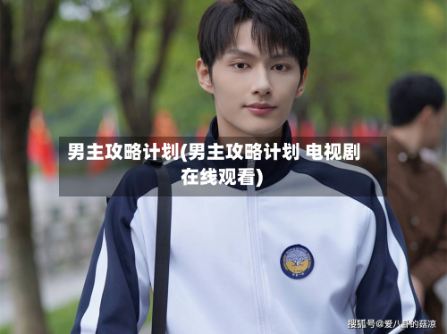 男主攻略计划(男主攻略计划 电视剧 在线观看)