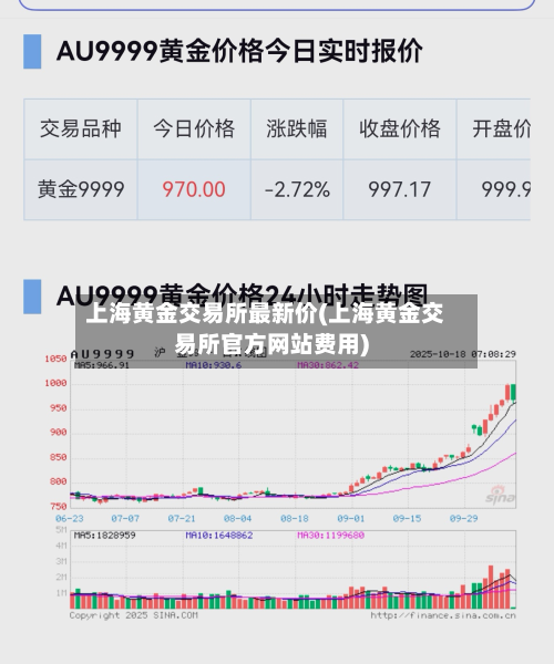 上海黄金交易所最新价(上海黄金交易所官方网站费用)