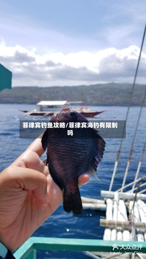 菲律宾钓鱼攻略/菲律宾海钓有限制吗-第3张图片