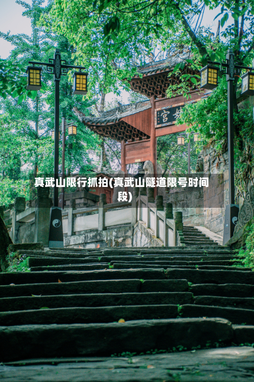 真武山限行抓拍(真武山隧道限号时间段)