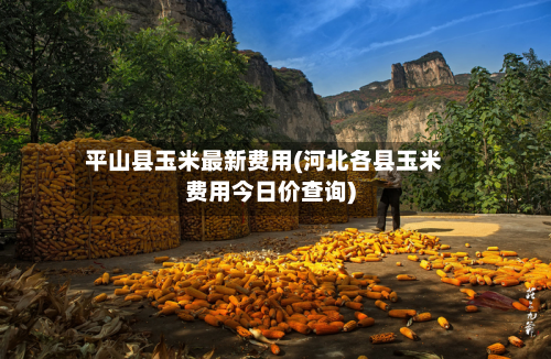 平山县玉米最新费用(河北各县玉米费用今日价查询)-第2张图片