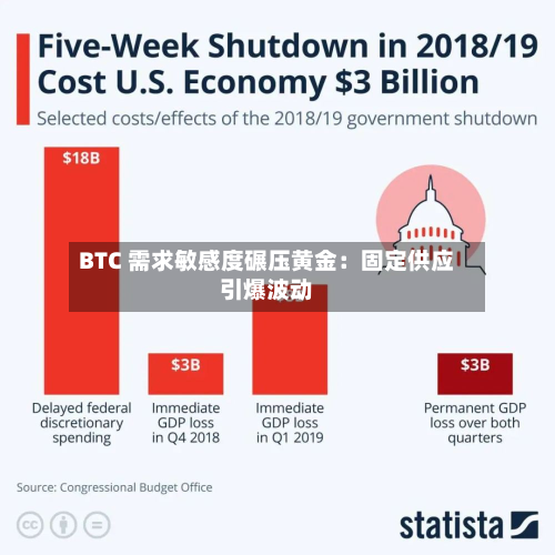 BTC 需求敏感度碾压黄金：固定供应引爆波动-第1张图片