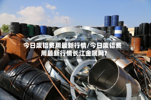 今日废铝费用最新行情/今日废铝费用最新行情长江金属网?-第2张图片