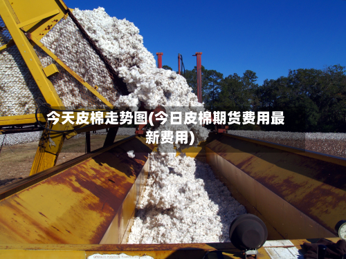 今天皮棉走势图(今日皮棉期货费用最新费用)