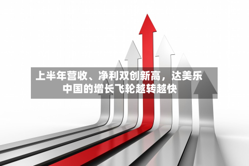 上半年营收、净利双创新高，达美乐中国的增长飞轮越转越快-第3张图片