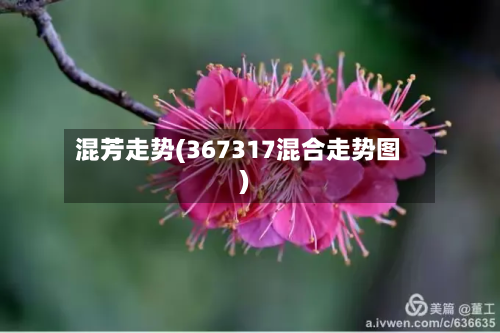 混芳走势(367317混合走势图)