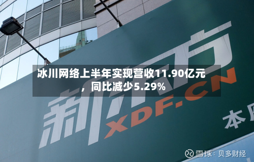 冰川网络上半年实现营收11.90亿元，同比减少5.29%-第3张图片