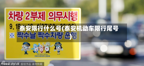 泰安限行什么号(泰安机动车限行尾号)-第2张图片