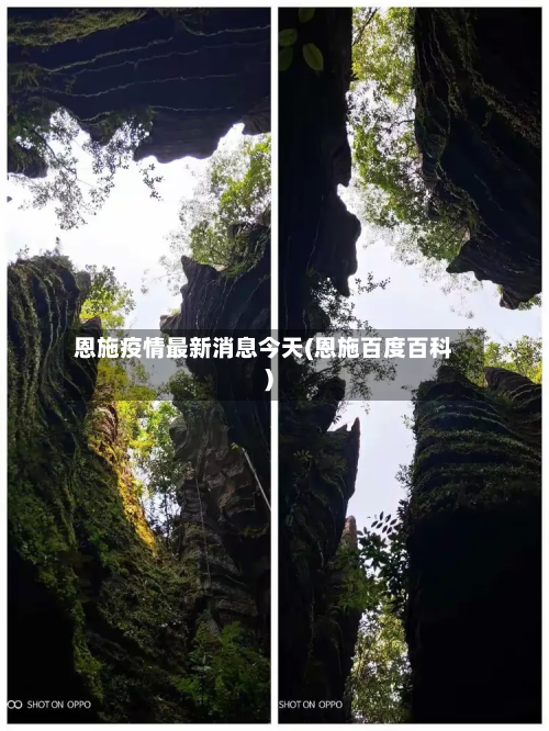 恩施疫情最新消息今天(恩施百度百科)