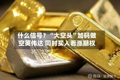 什么信号？“大空头”加码做空英伟达 同时买入看涨期权-第2张图片