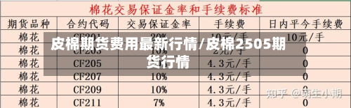 皮棉期货费用最新行情/皮棉2505期货行情-第3张图片