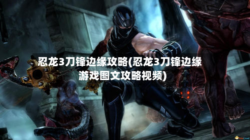 忍龙3刀锋边缘攻略(忍龙3刀锋边缘游戏图文攻略视频)-第3张图片