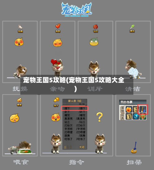 宠物王国5攻略(宠物王国5攻略大全)-第2张图片