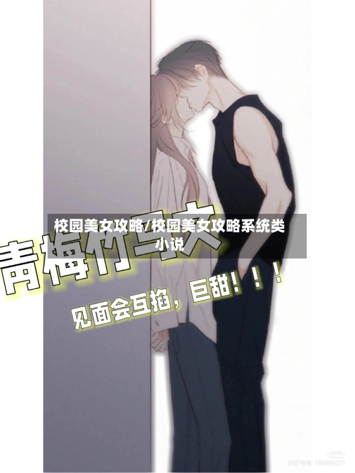 校园美女攻略/校园美女攻略系统类小说-第2张图片