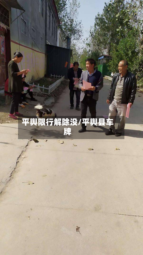 平舆限行解除没/平舆县车牌