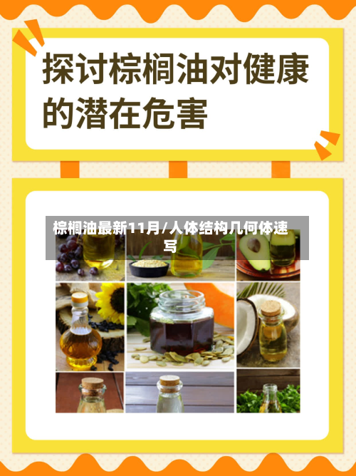 棕榈油最新11月/人体结构几何体速写