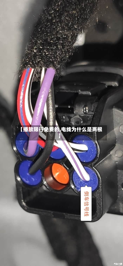 【播放限行免费的,电线为什么是两根】-第2张图片