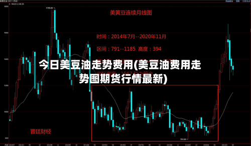 今日美豆油走势费用(美豆油费用走势图期货行情最新)