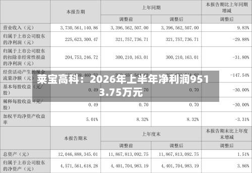 莱宝高科：2026年上半年净利润9513.75万元-第2张图片
