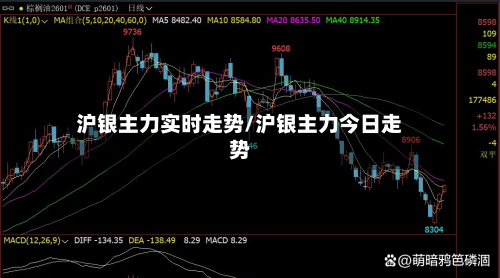 沪银主力实时走势/沪银主力今日走势