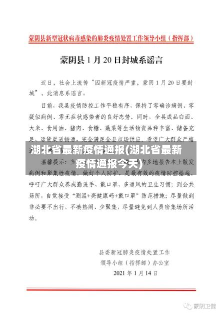 湖北省最新疫情通报(湖北省最新疫情通报今天)-第2张图片