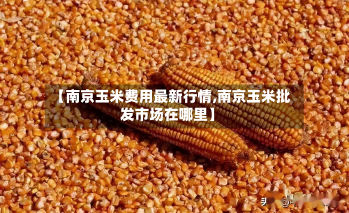 【南京玉米费用最新行情,南京玉米批发市场在哪里】