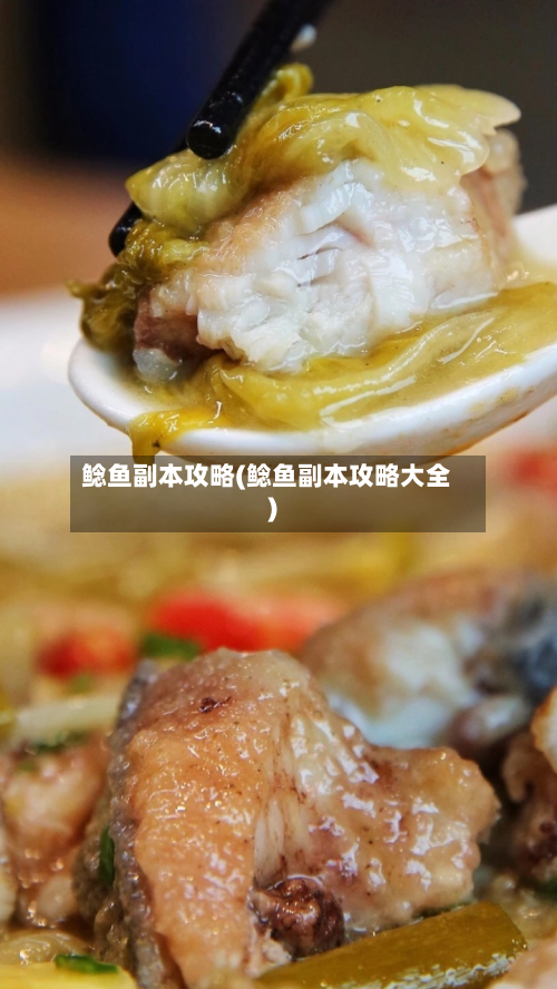 鲶鱼副本攻略(鲶鱼副本攻略大全)