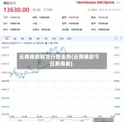 云南橡胶期货行情走势(云南橡胶今日费用表)