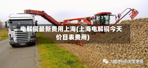 电解铜最新费用上海(上海电解铜今天价目表费用)-第3张图片