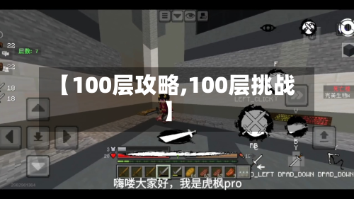 【100层攻略,100层挑战】