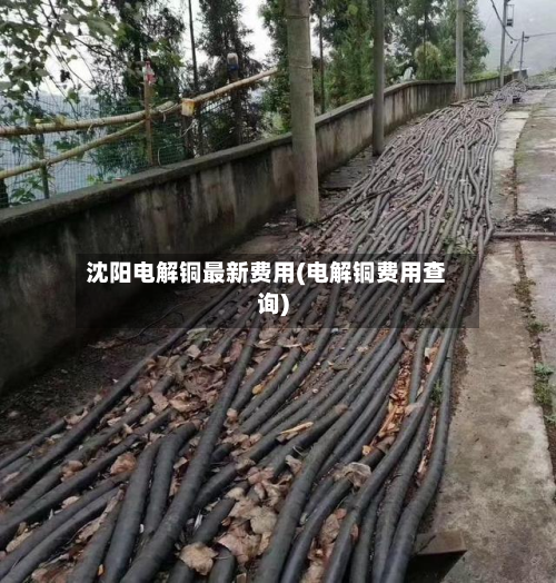 沈阳电解铜最新费用(电解铜费用查询)-第1张图片