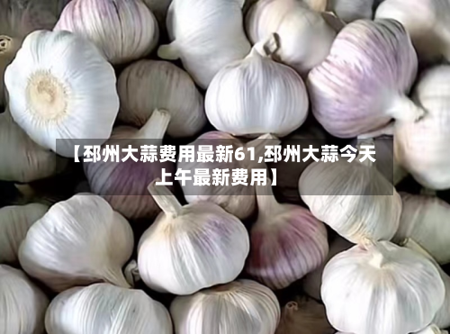 【邳州大蒜费用最新61,邳州大蒜今天上午最新费用】