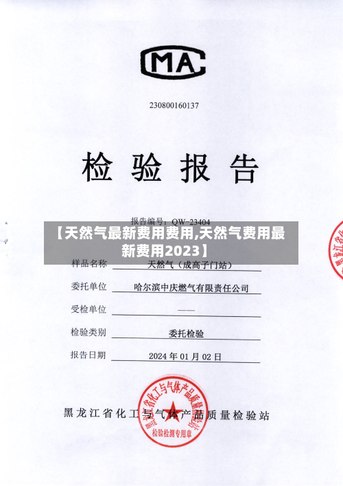 【天然气最新费用费用,天然气费用最新费用2023】-第2张图片