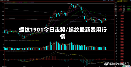 螺纹1901今日走势/螺纹最新费用行情-第3张图片