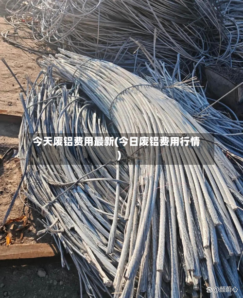 今天废铝费用最新(今日废铝费用行情)