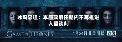 冰岛总理：本届政府任期内不再推进入盟谈判-第2张图片