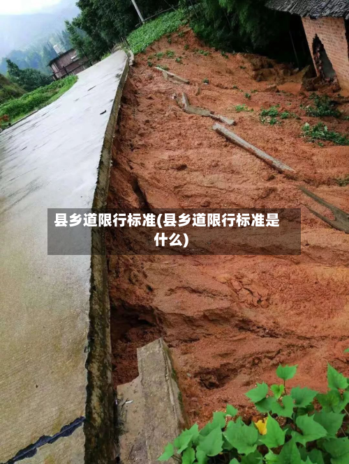 县乡道限行标准(县乡道限行标准是什么)-第2张图片