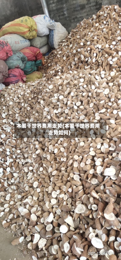 木薯干世界费用走势(木薯干世界费用走势如何)-第2张图片