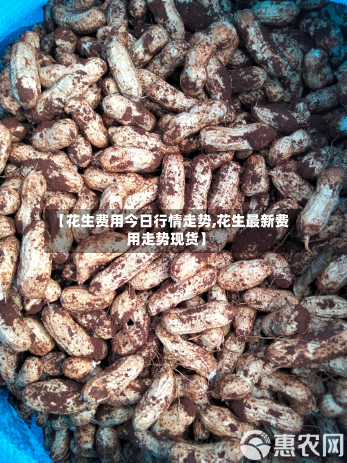 【花生费用今日行情走势,花生最新费用走势现货】-第2张图片