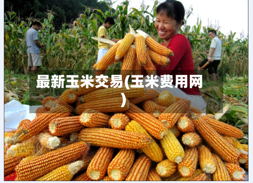 最新玉米交易(玉米费用网)